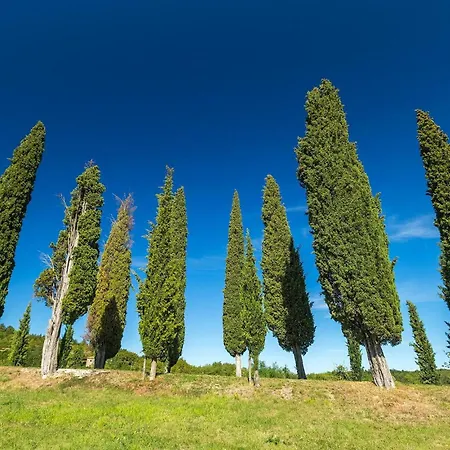 Mamma Mia * Motovun